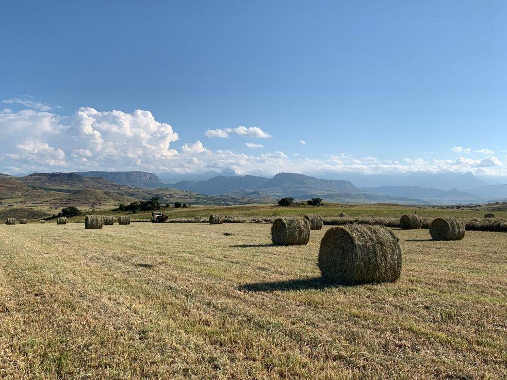 Kezlyn Farm Cottages Bergville Buitenkant foto