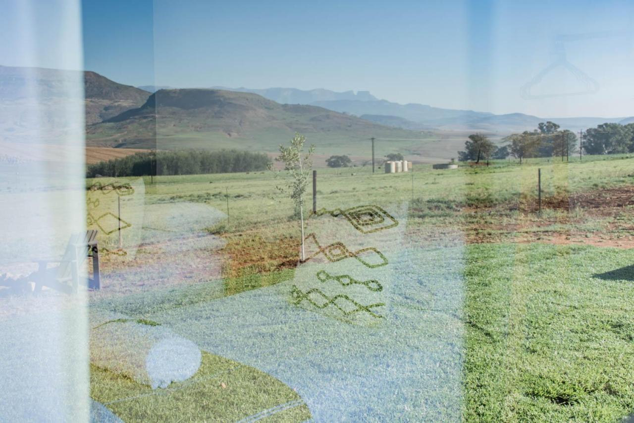 Kezlyn Farm Cottages Bergville Buitenkant foto