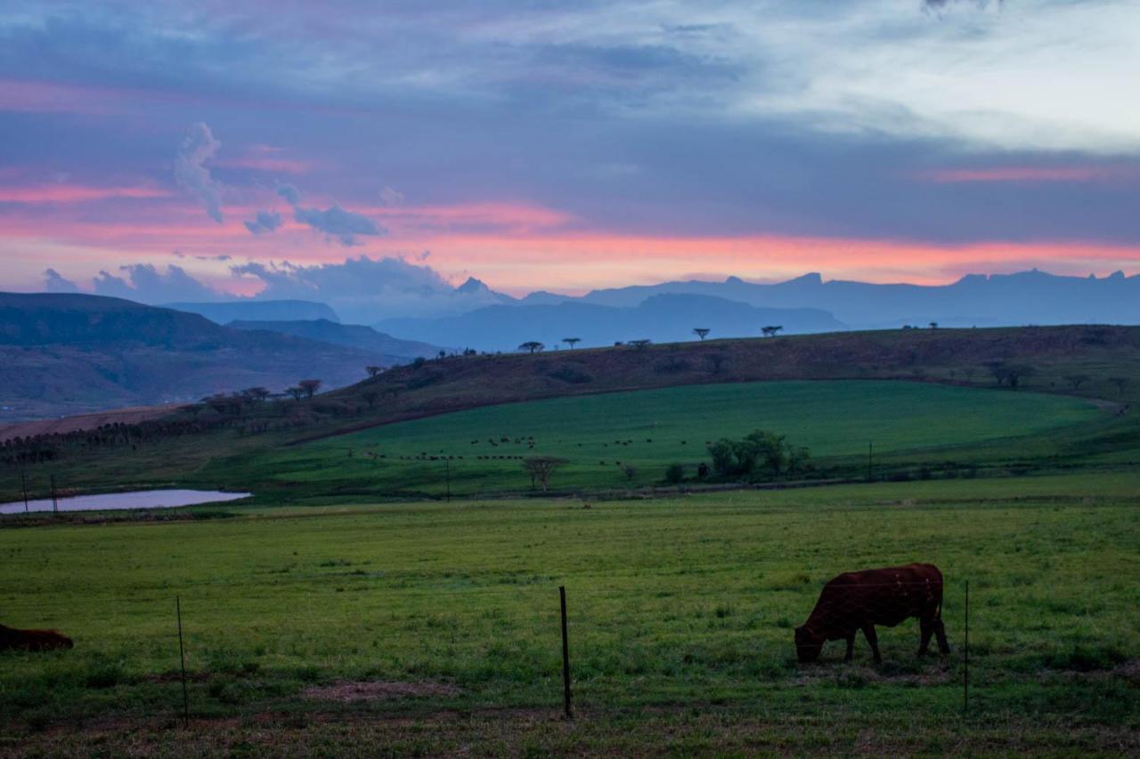 Kezlyn Farm Cottages Bergville Buitenkant foto